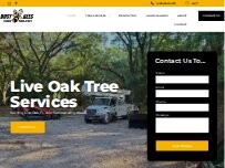 Website Screenshot Busy Bees Land Lawn Home Services