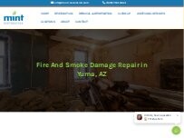 Website Screenshot Mint Restoration