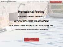 Website Screenshot Professional Roofing