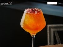Website Screenshot Mariel