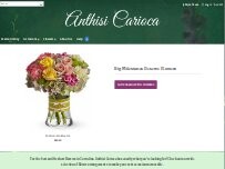 Website Screenshot Anthisi Carioca