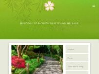 Website Screenshot Blossom for Health