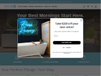 Website Screenshot Revive Plunge