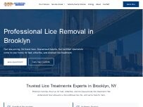 Website Brooklyn Lice Experts