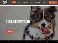 Website Denver Dog