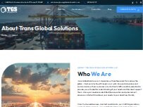 Website Screenshot Trans Global Solutions