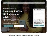 Website Treat Mental Health Colorado
