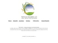Website Patton & Associates LLC