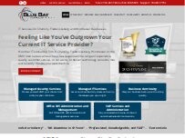 Website Screenshot Blue Bay Technology