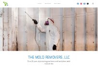 Website Screenshot The Mold Removers, LLC
