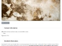 Website Screenshot Mold Remediation Arvada