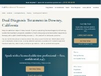 Website Screenshot Dual Diagnosis Treatment Downey