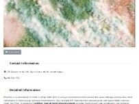 Website Screenshot Mold Remediation Elgin