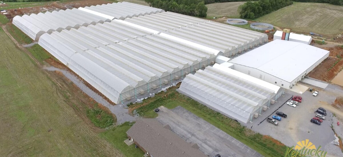 Images Rising Sun Developing