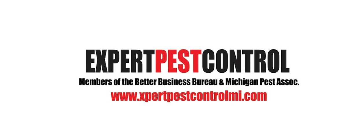 Images Expert Pest Control