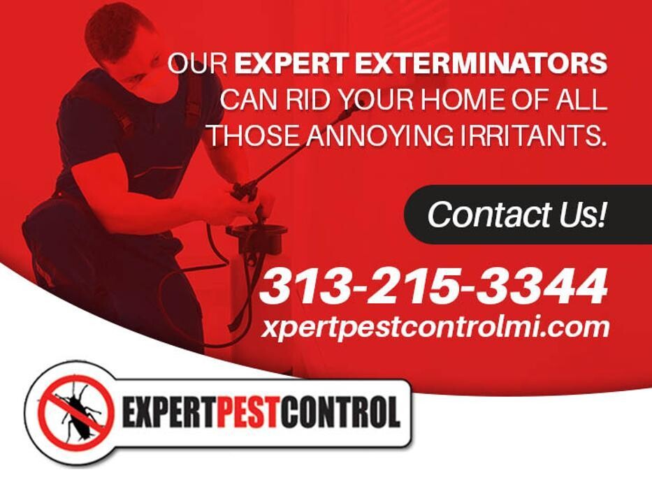 Images Expert Pest Control