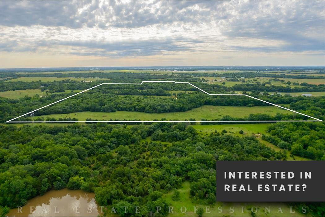 Images Real Estate Professionals: Dolores Lemon and Associates