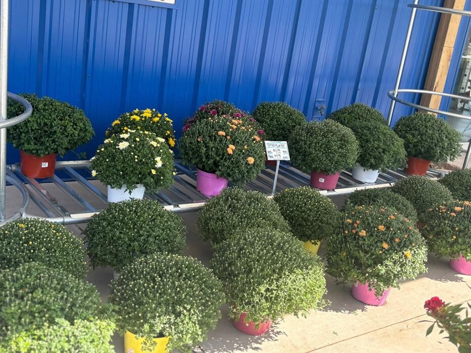 Images Scotty Landscape Supply