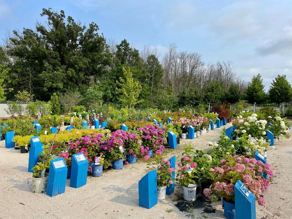 Images Scotty Landscape Supply