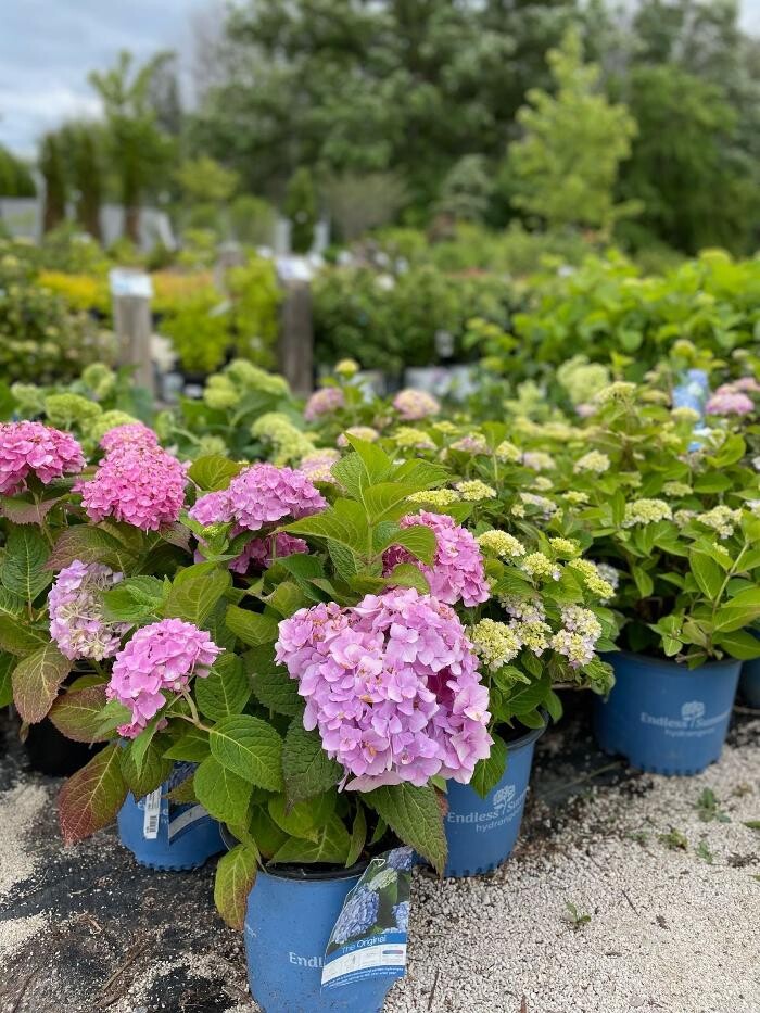 Images Scotty Landscape Supply