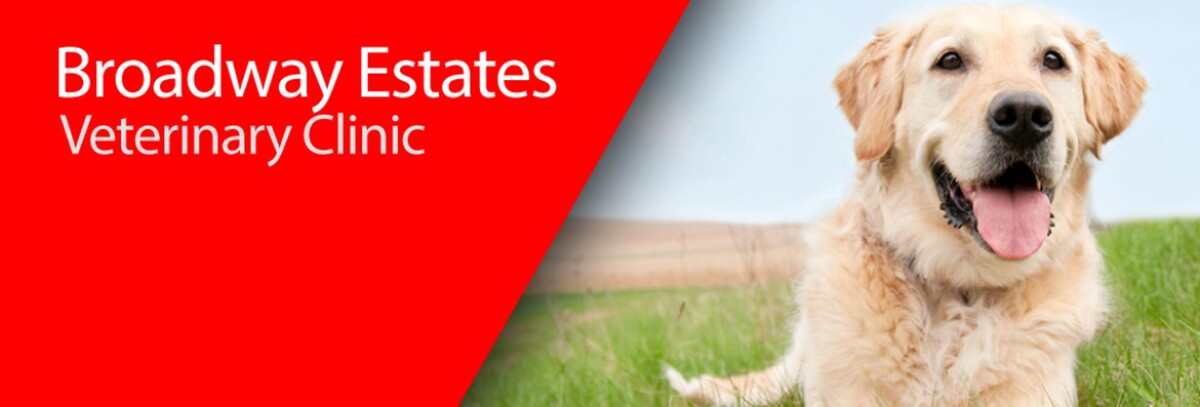 Images Broadway Estates Veterinary Clinic