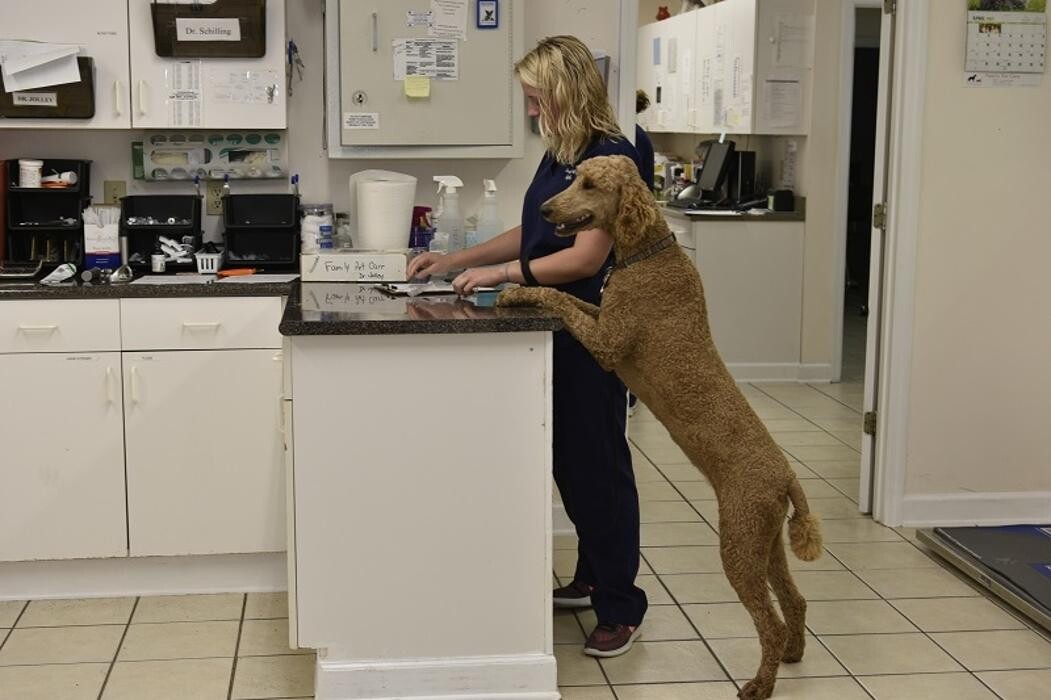 Images Family Pet Care