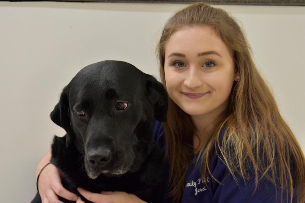 Images Family Pet Care