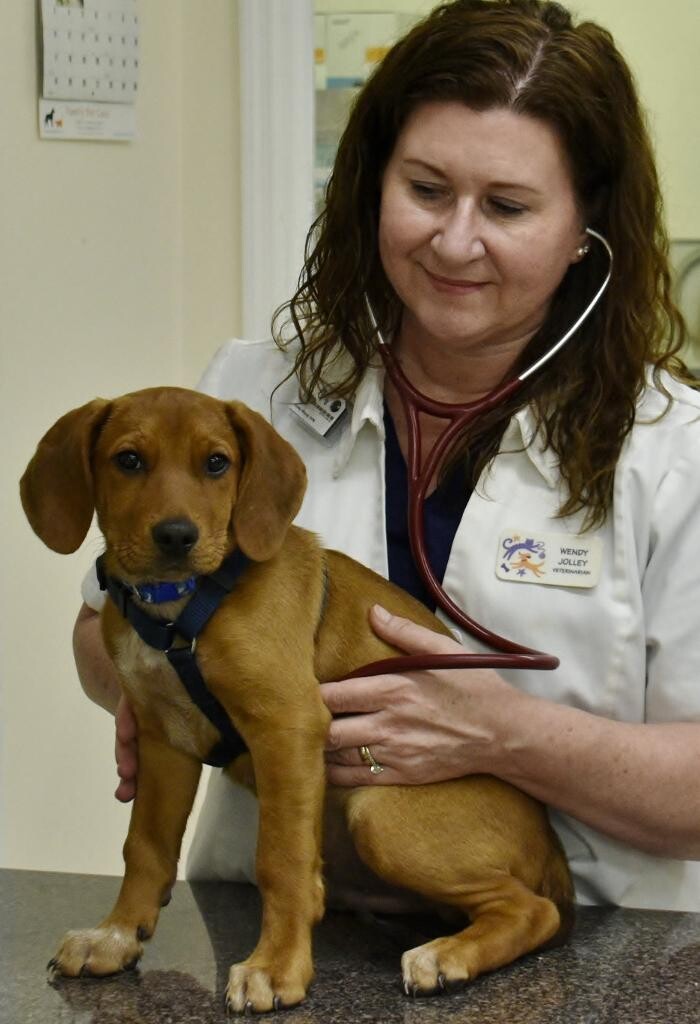 Images Family Pet Care