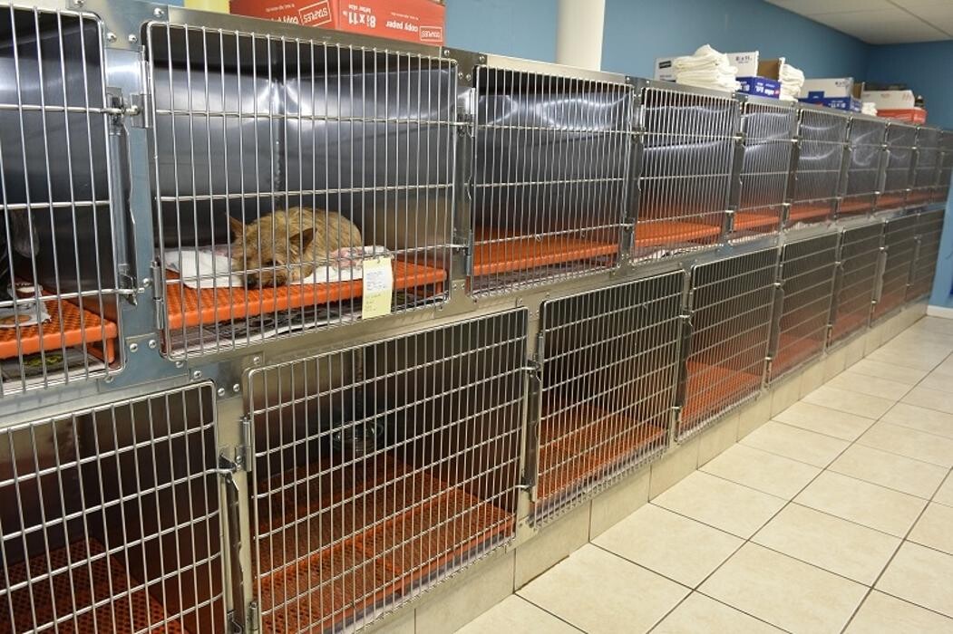 Images Family Pet Care
