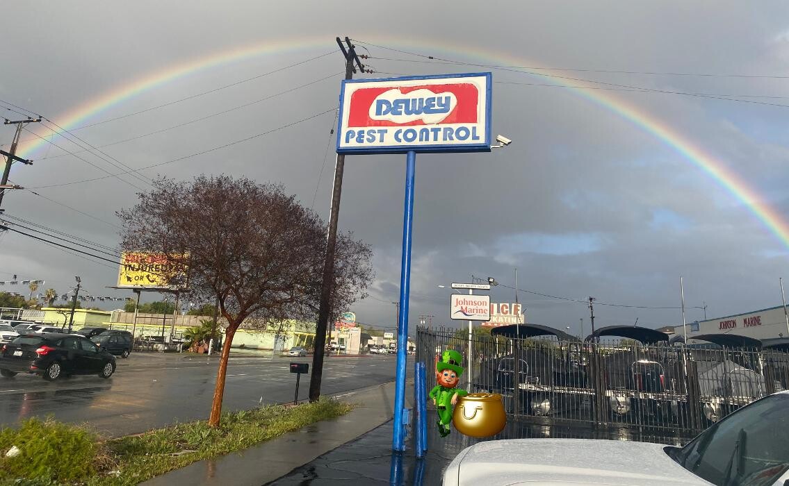 Images Dewey Pest & Termite Control