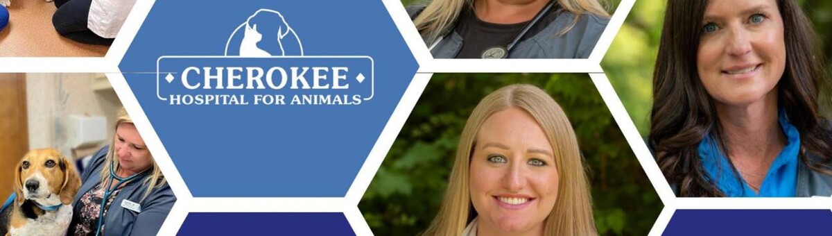 Images Cherokee Hospital for Animals