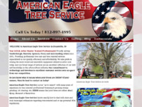 Screenshot for http://www.americaneagletree.net