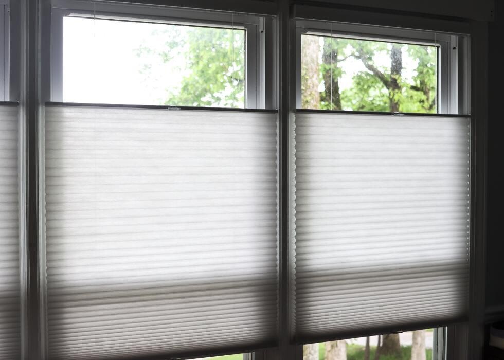 Images Blinds and Borders