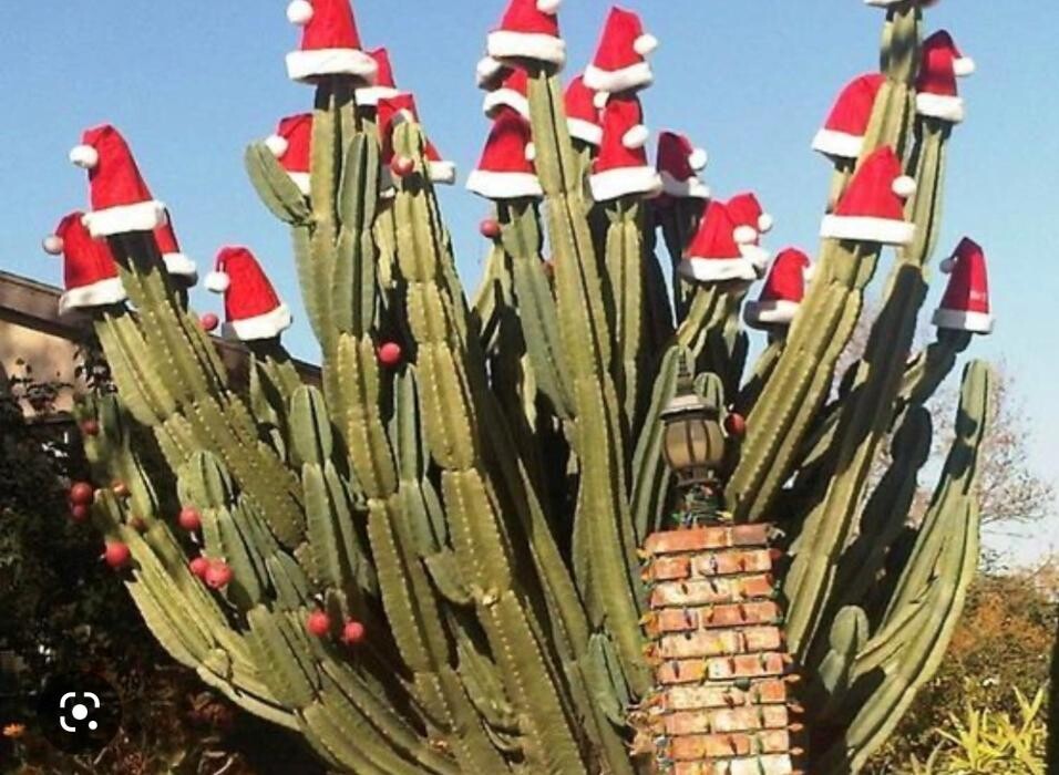 Images Kustom Disaster Restoration