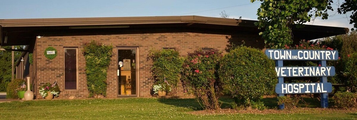 Images Town & Country Veterinary Hospital