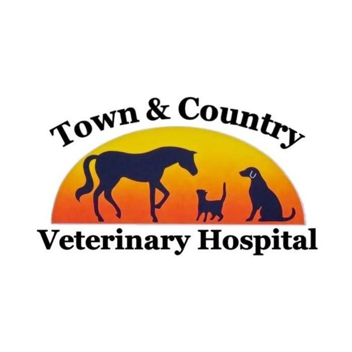 Images Town & Country Veterinary Hospital