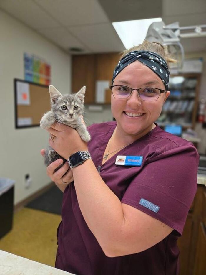 Images Town & Country Veterinary Hospital