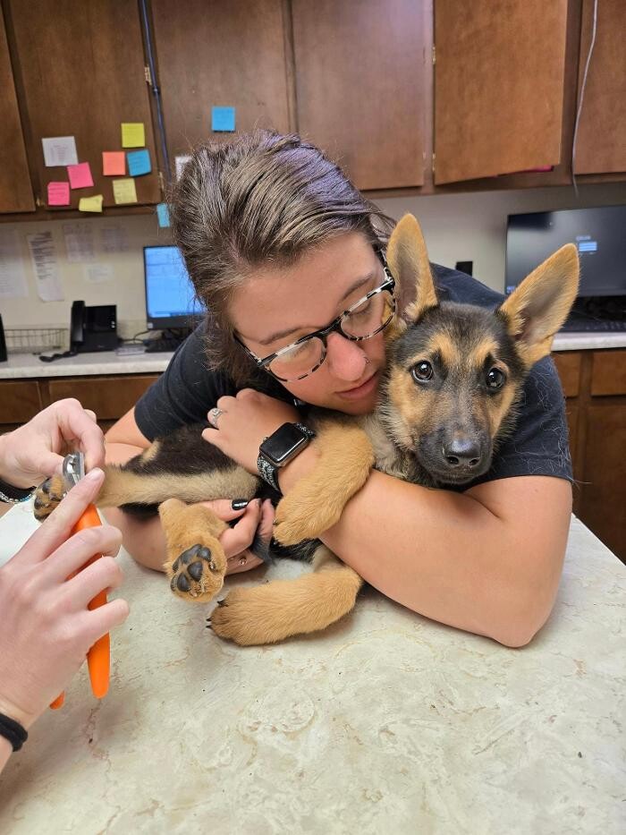 Images Town & Country Veterinary Hospital