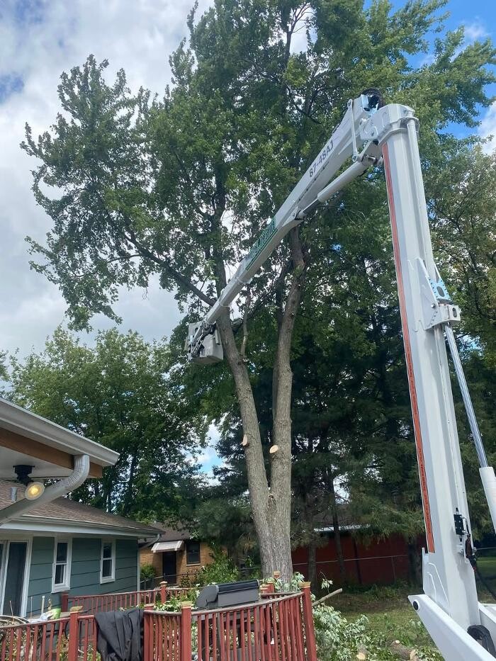 Images Cutting Edge Tree Service LLC