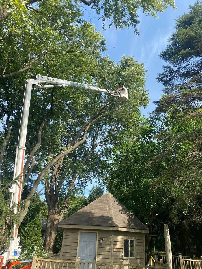 Images Cutting Edge Tree Service LLC