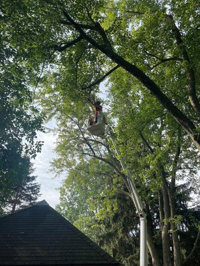 Images Cutting Edge Tree Service LLC