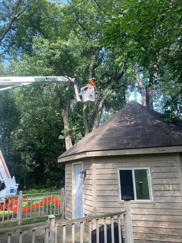 Images Cutting Edge Tree Service LLC