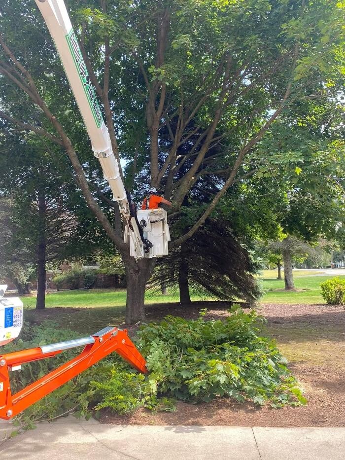 Images Cutting Edge Tree Service LLC