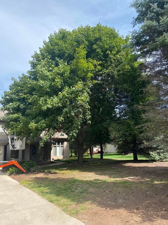 Images Cutting Edge Tree Service LLC