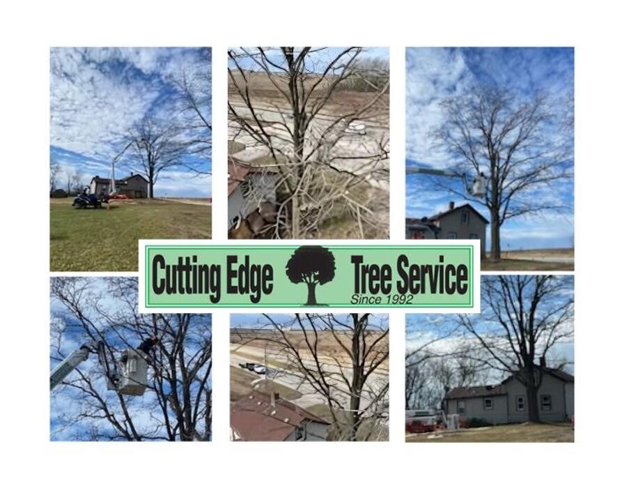 Images Cutting Edge Tree Service LLC