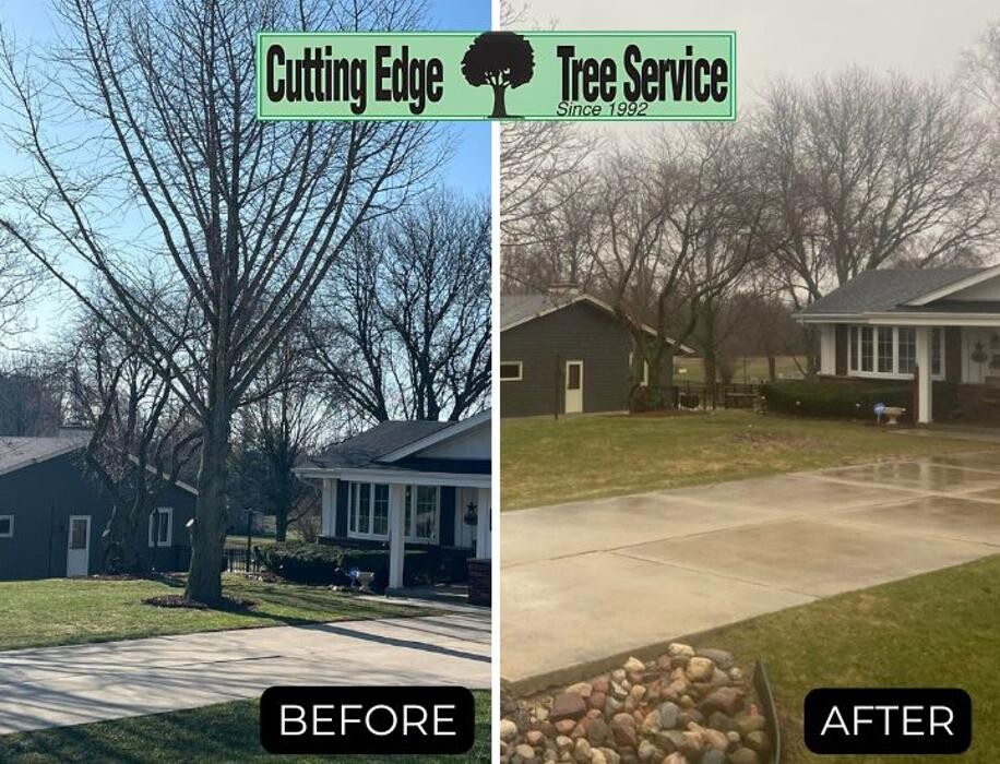 Images Cutting Edge Tree Service LLC