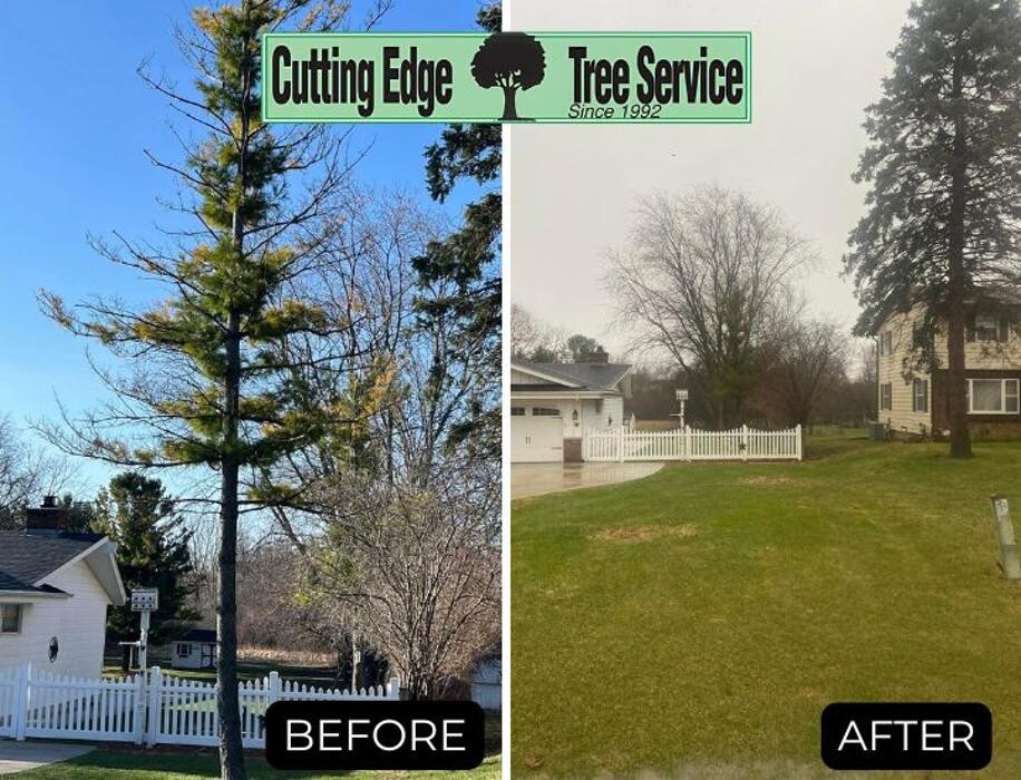 Images Cutting Edge Tree Service LLC