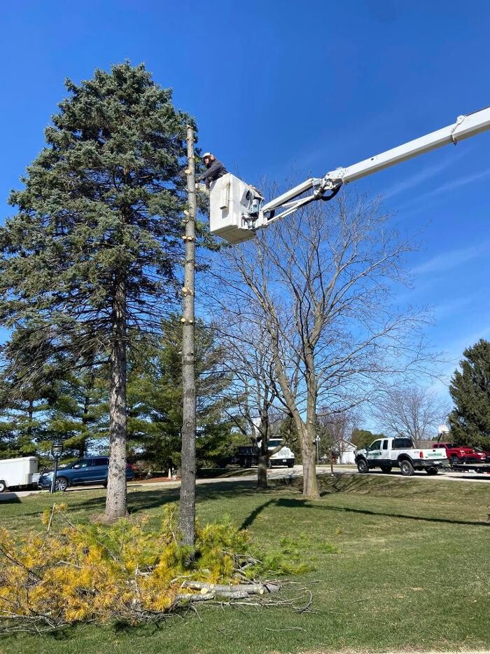 Images Cutting Edge Tree Service LLC