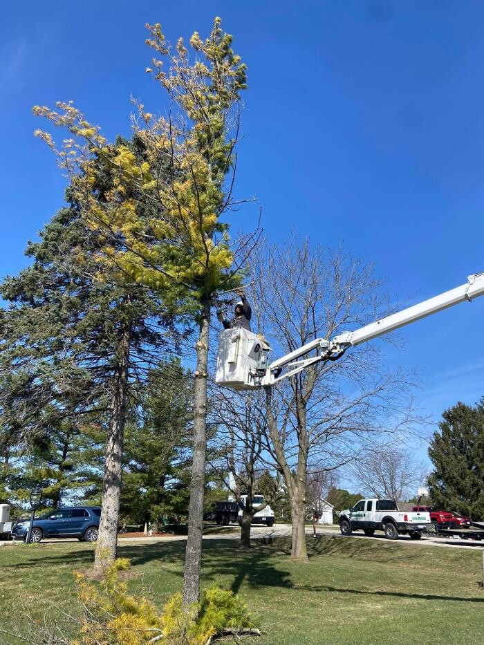 Images Cutting Edge Tree Service LLC