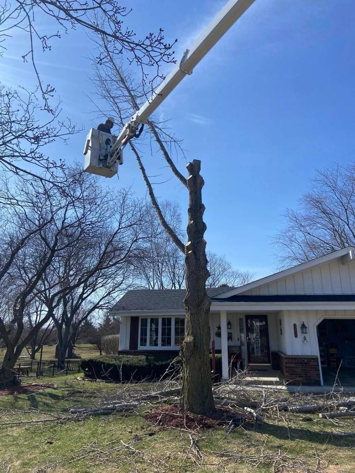 Images Cutting Edge Tree Service LLC